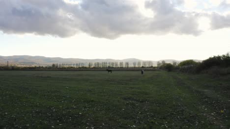 Horses-Grazing-On-Pasture-Land-Under-Cloudy-Sky-In-Countryside