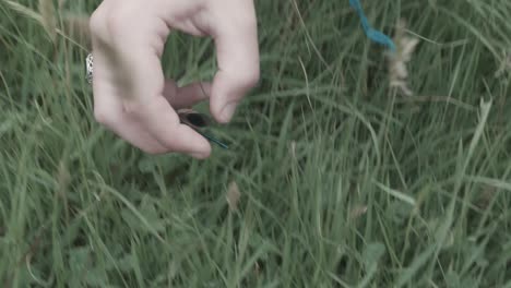 close up on girls hand picking up dragon fly