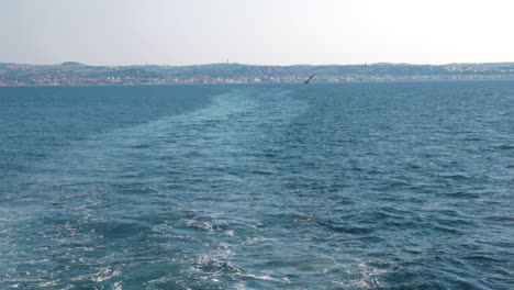 Boat-trace-in-the-sea-a-Seagull-flying-on-a-background-of-beautiful-seascape-land-is-far-away