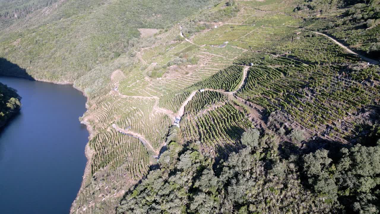 Drone che sorvola una strada sterrata tortuosa che attraversa il fianco della collina del Canyon del Sil, Galizia, Spagna, regione del vino e dei vigneti.