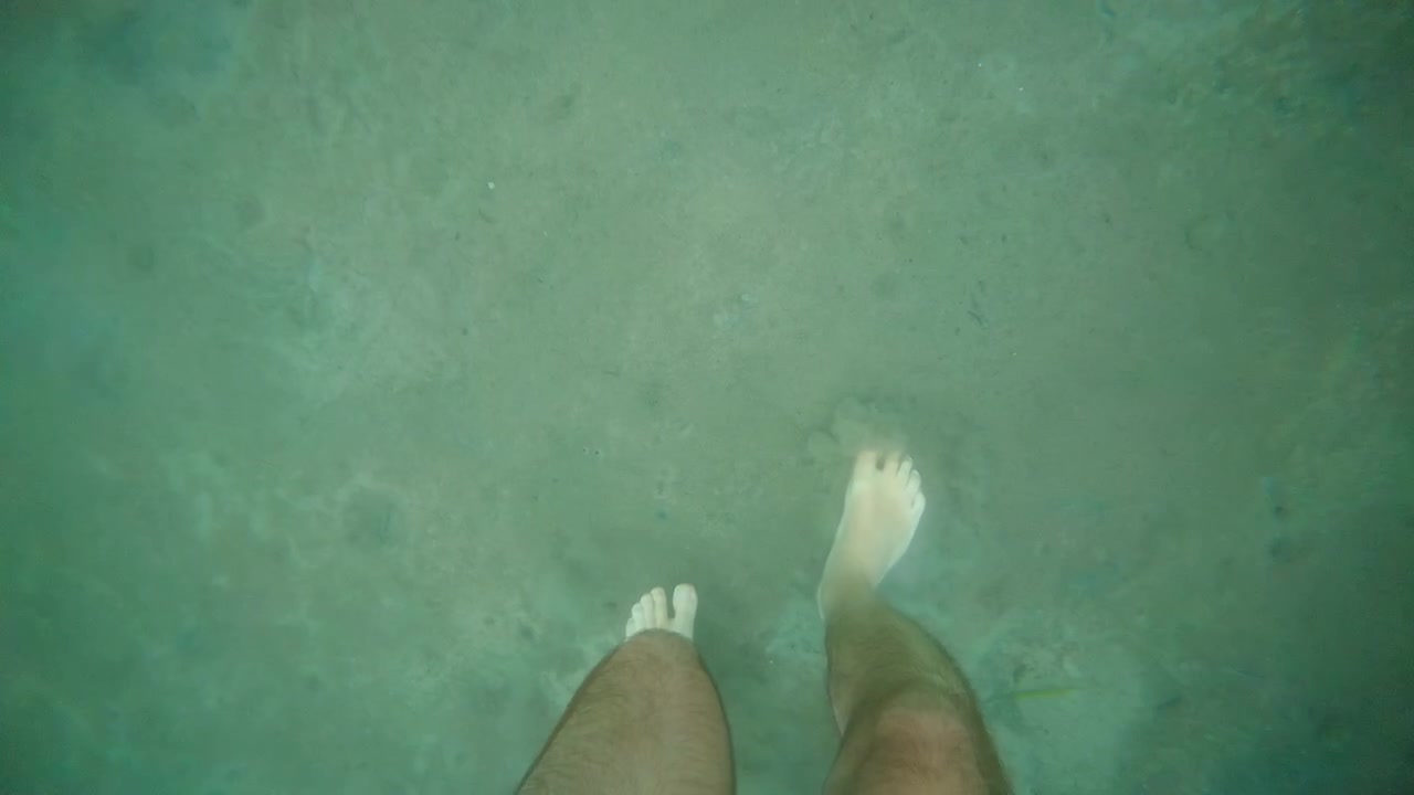 Person's leg and foot submerged in murky green water, swimming or wading in a lake or river showing sediment