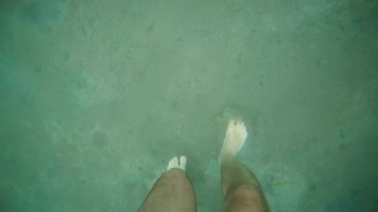 Person's leg and foot submerged in murky green water, swimming or wading in a lake or river showing sediment