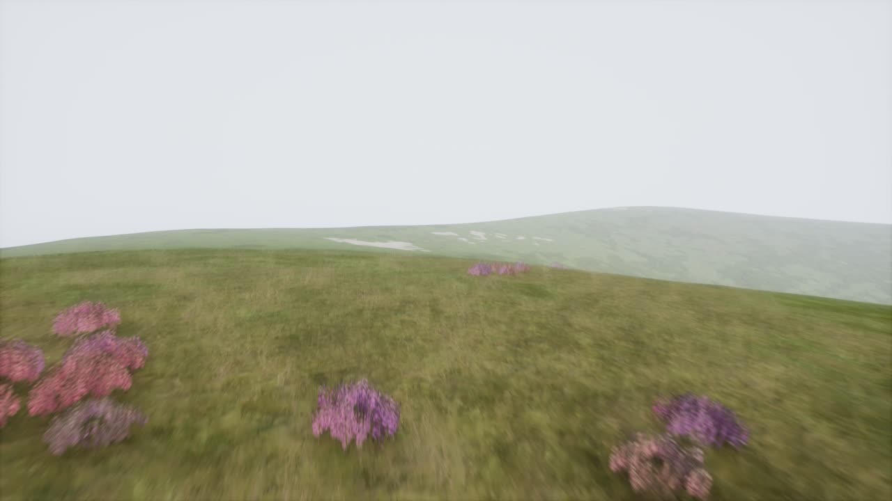 안개 속 에 있는 공중 의 초록색 언덕 풍경