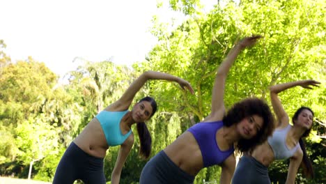 fit group stretching in the park