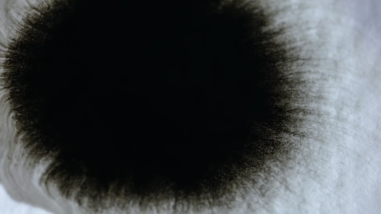 색 은 종이 위에 창하는 검은색 수채화 잉크 어리, 원형 창 유기적인 흐름과 함께 잉크 효과, 추상적인 그림, 느린 움직임, 클로즈업