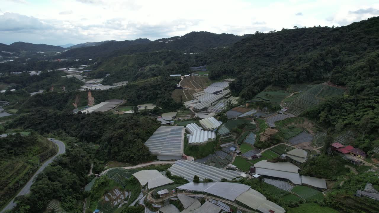 말레이시아의 카메론 하이랜드 지역 내의 브린창 지역의 일반 풍경
