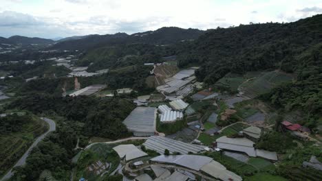 general landscape view of the brinchang district within the cameron highlands area of malaysia