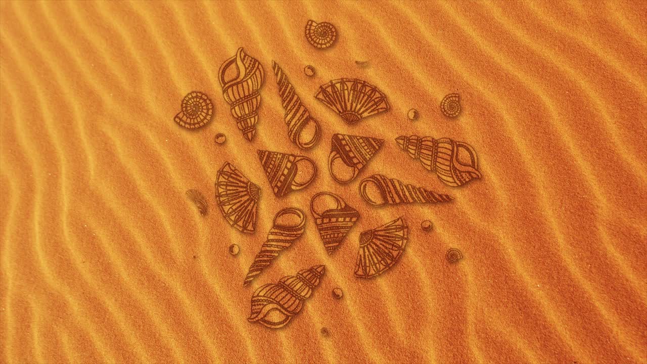 patrón de conchas marinas en la arena