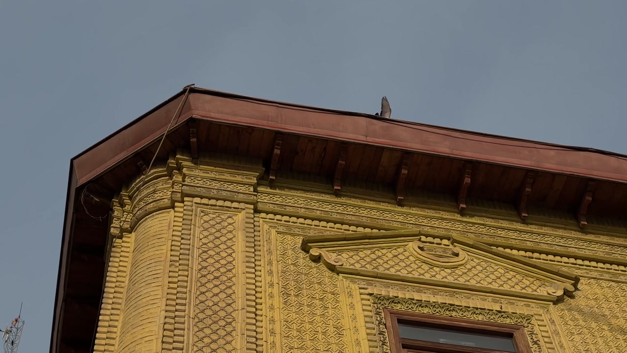 Bird is flying over rooftop building in Tehran Iran traditional architecture brick urban landscape historic Persian cultural heritage Middle East tourism attraction travel fountain ancient design