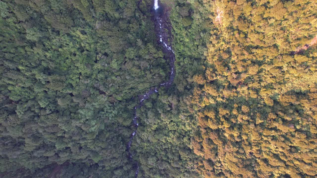 vista a vista de pájaro sobre las cataratas de wairere rodeadas de exuberante vegetación en waikato, nueva zelanda - toma de avión no tripulado