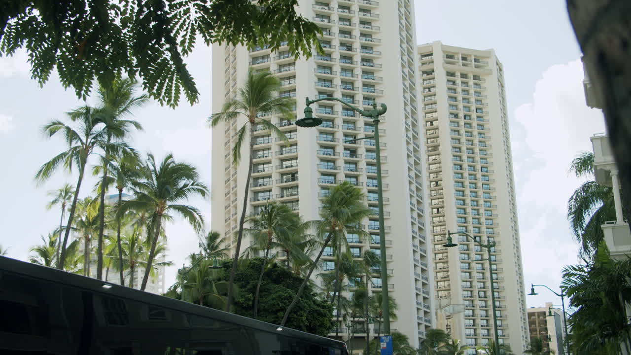 Tall Buildings and Palm Trees in a Tropical City