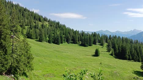 austrian alps during summer time wiht beautiful view