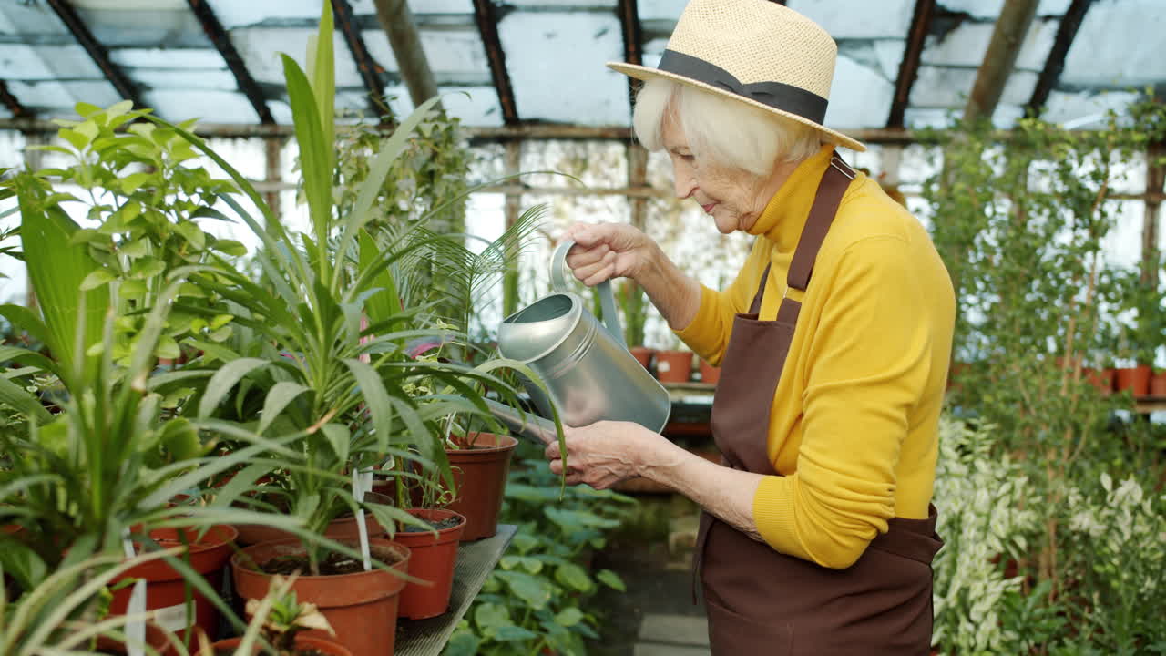 Senior Woman Watering Plants in a Greenhouse
