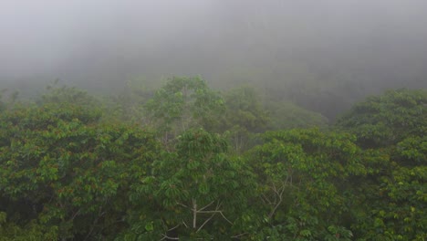 Drone-view-of-fog-and-green-trees-in-Santa-Marta-montane-forests,-Columbia,-weather