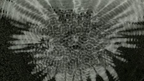 mesmerizing macro shot of water moving in a bowl