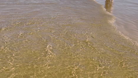 pov: algunas personas caminando por la playa con reflejos de agua
