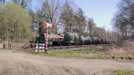 tren con vagones cisterna en el cruce ferroviario en el bosque