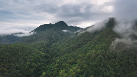 Hiperlapso-Aéreo-Del-Bosque-Nuboso