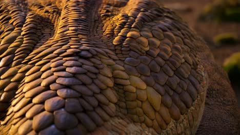vista detallada de la textura de la piel parecida a la de un dinosaurio