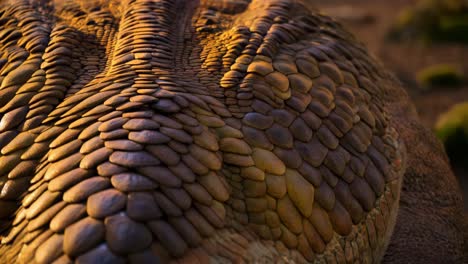 detailed view of dinosaur-like skin texture