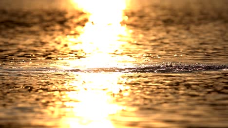 Slow-motion-of-water-splashing-on-lake-surface-against-sunlight