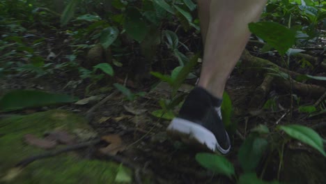 shoes walking in forest, slow motion