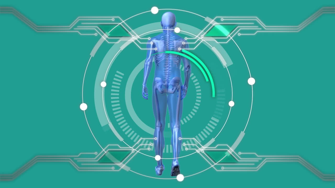animación del procesador de placa de circuito y escaneo de alcance con modelo humano en fondo verde
