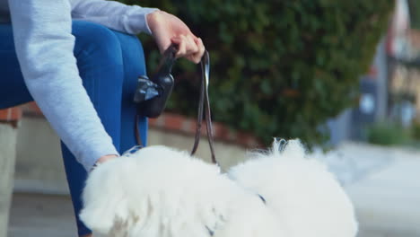 [Camera-Used:-Canon-C300]-Happy-caucasian-woman-outdoors-wearing-a-face-mask-and-petting-her-dog