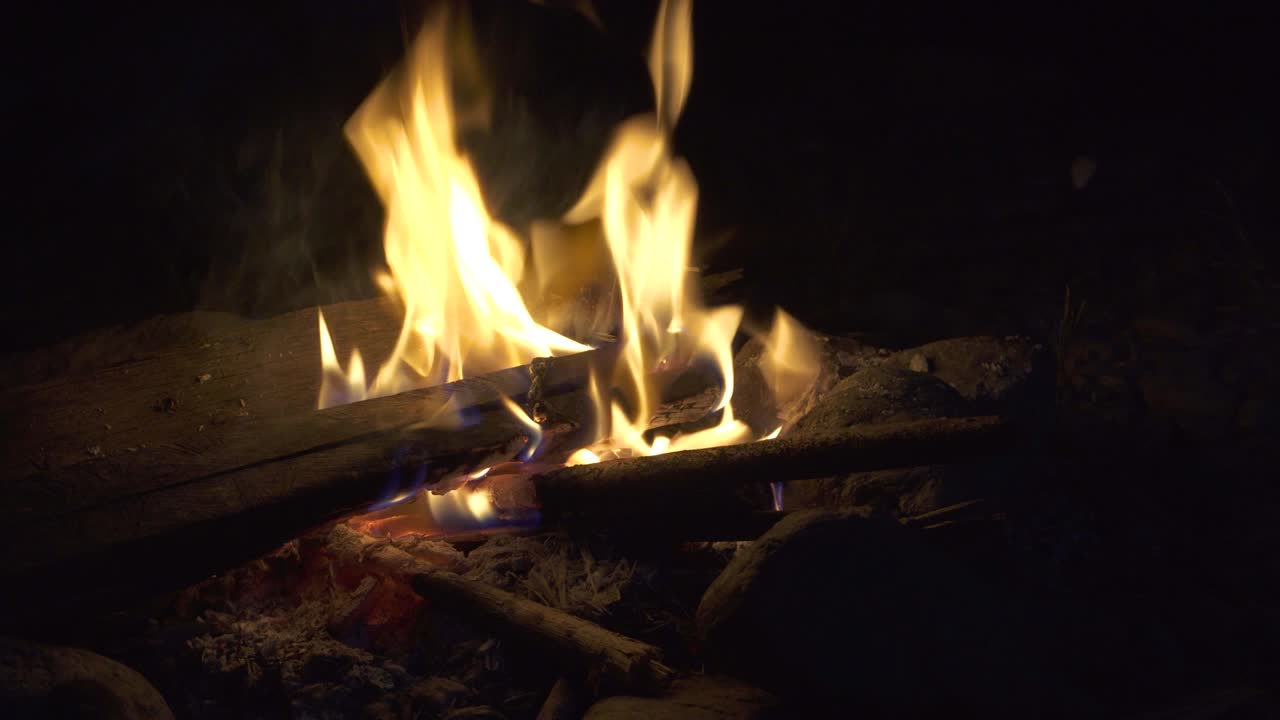 밤에 나무가 불타는 4k 영상.