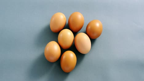 brown eggs on grey background