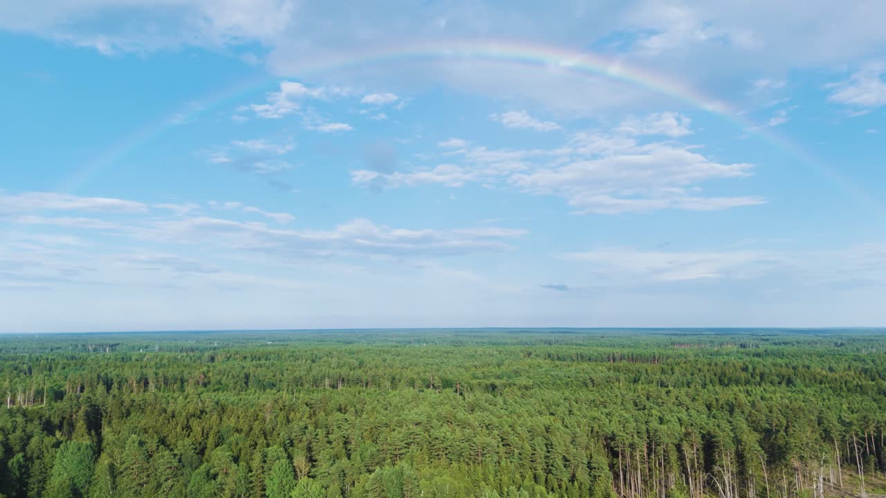 Green vibrant forest with rainbow above, aerial drone view