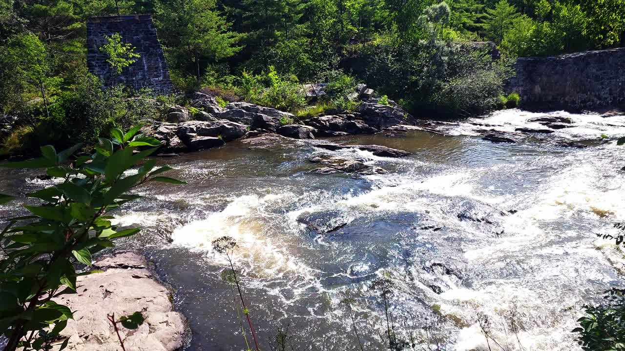 Lush Forest River with Rapids and Stone Remains