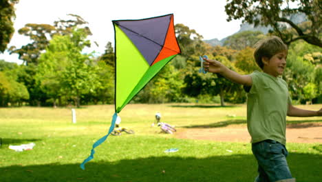 little boy playing with a kite in the park