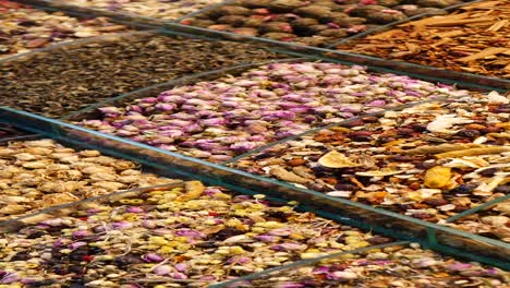 assortment of dried teas and spices