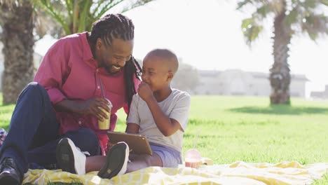 Video-of-happy-african-american-father-and-son-having-picnic-outdoors-on-sunny-day