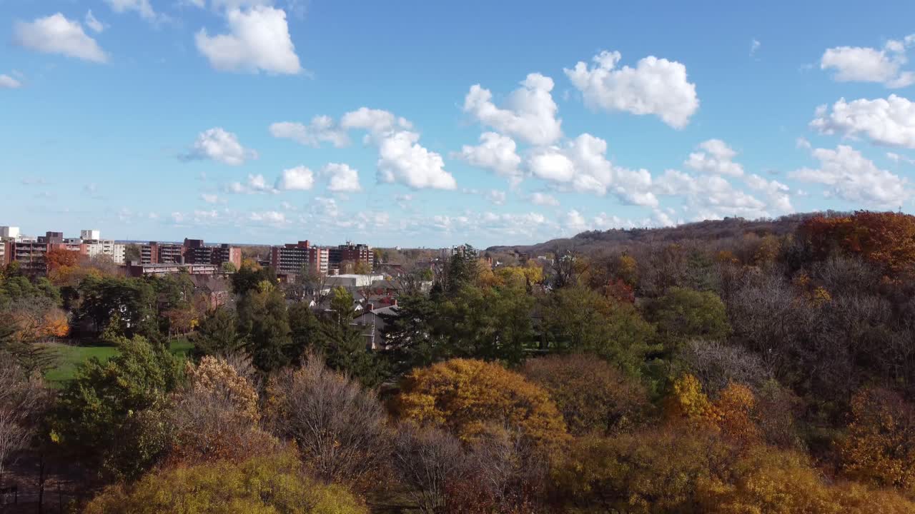 hermoso parque arbolado cerca de la gran ciudad registrado con drones