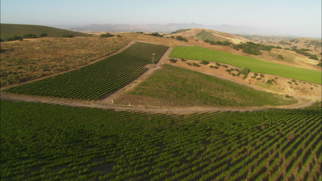 antena de bajo nivel de helicóptero de los viñedos del condado de santa bárbara, california 2