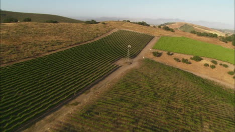 helicopter low level aerial of santa barbara county vineyards california 2