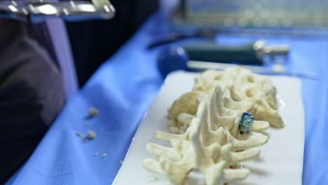 educator uses metal instrument to cut off the piece of spine dummy. teaching neurosurgery in practice. close up.