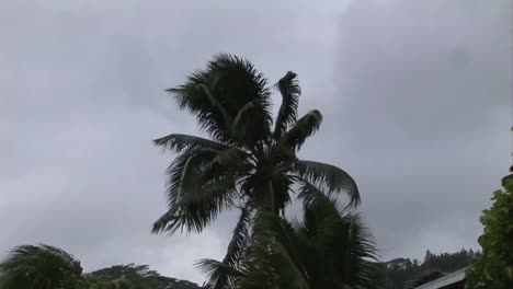 stock footage hurricane