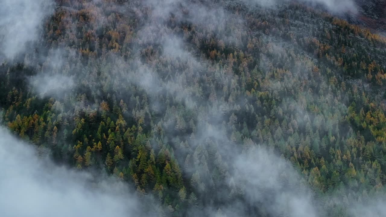 otoño saastal saas cuota suiza avión no tripulado montaña larch bosque pico nubes de mal humor capa gris gris niebla lluviosa alpes suizos picos de montaña glaciar valle pan movimiento
