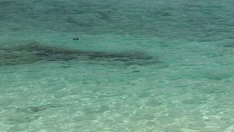 Hermosas-Aguas-Turquesas-Del-Atolón-De-La-Isla-Fanning,-República-De-Kiribati