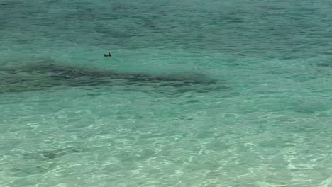 hermosas aguas turquesas del atolón de la isla fanning, república de kiribati