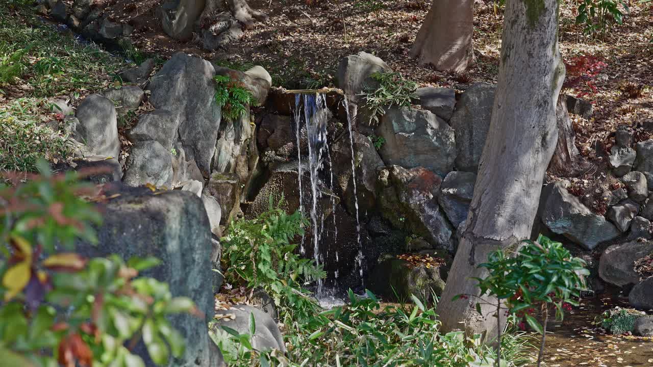 Una piccola cascata scende su rocce coperte di muschio in un ruscello all'interno di un tradizionale giardino paesaggistico giapponese