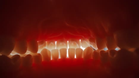 patient at a dentist appointment in a dental clinic. view from inside the dental jaw.