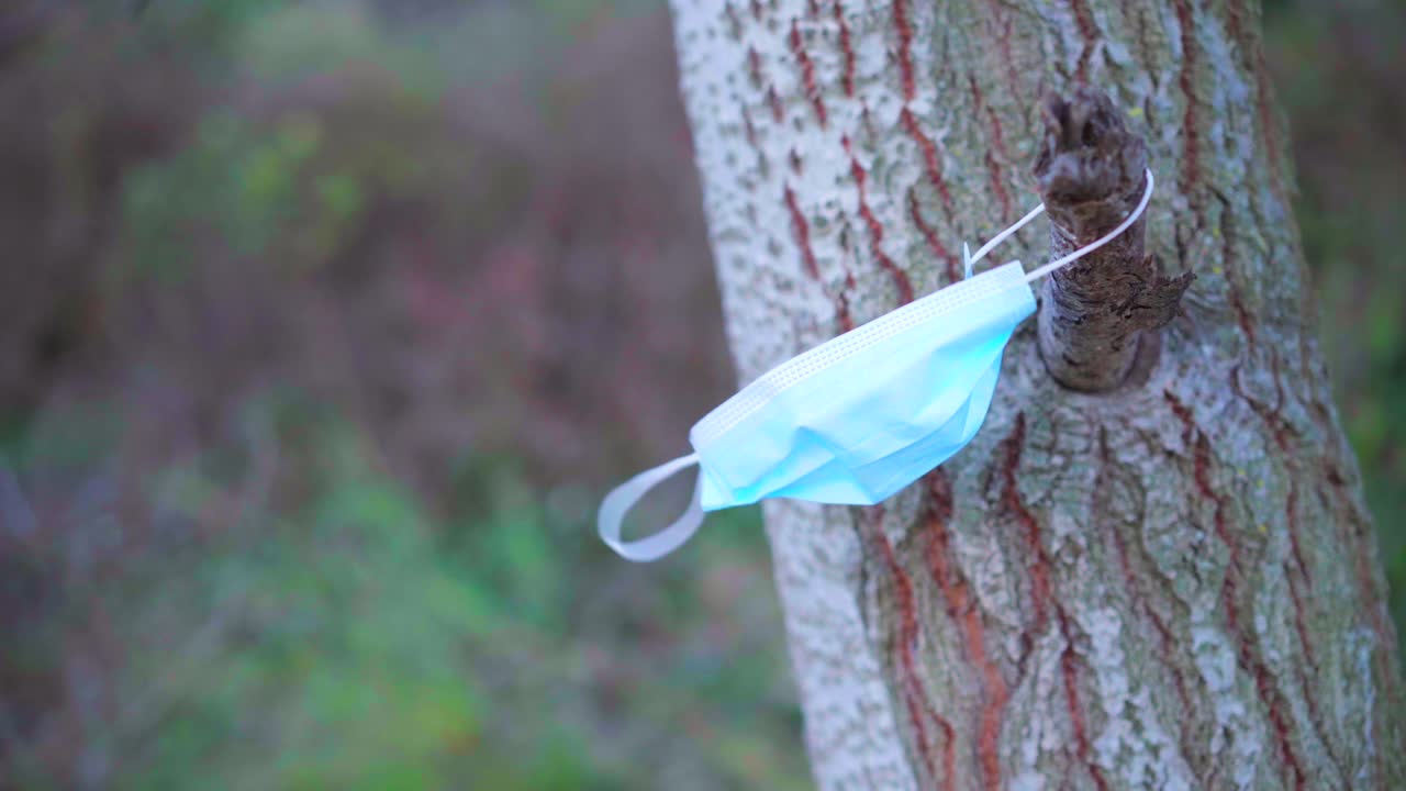 코로나 바이러스 covid-19 전염병 동안 바람에 날리는 나무에 버려진 의료 보호 얼굴 마스크, 자연 오염