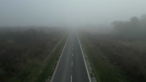 foggy road: an aerial view