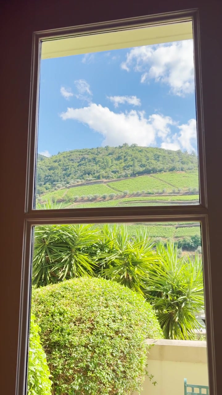 Vista del Valle del Duero en Portugal desde la ventana de un hotel o apartamento en una hermosa mañana, con vistas a viñedos y terrazas de bodegas con vides y olivos. POV de vlogger en contenido generado por el usuario