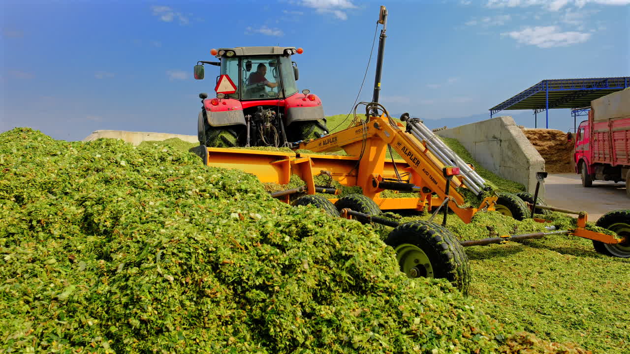 el tractor está haciendo ensilado de maíz