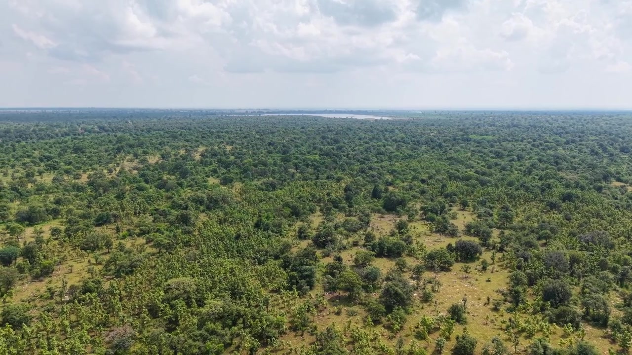 Cinematic drone footage smoothly panning left across an expansive green woodland and scrubland landscape, with scattered trees, distant vegetation, a visible water body and cloudy sky on the horizon.